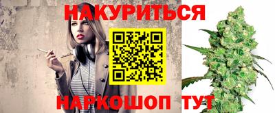 прущие крисы Гатчина