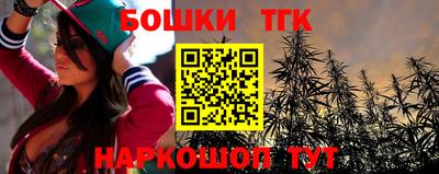 прущие крисы Гатчина