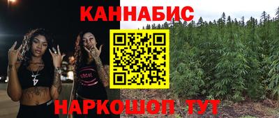 прущие крисы Гатчина