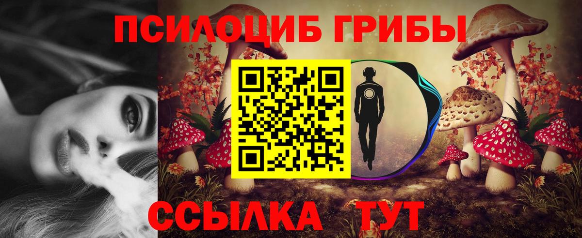 Сальск  магазин  наркотиков  Вход с VPN  Псилоцибиновые грибы Psilocybine cubensis 
