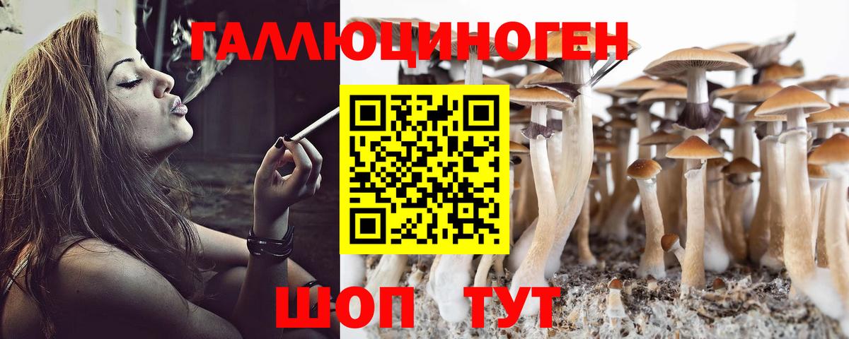 Псилоцибиновые грибы Psilocybine cubensis Сальск