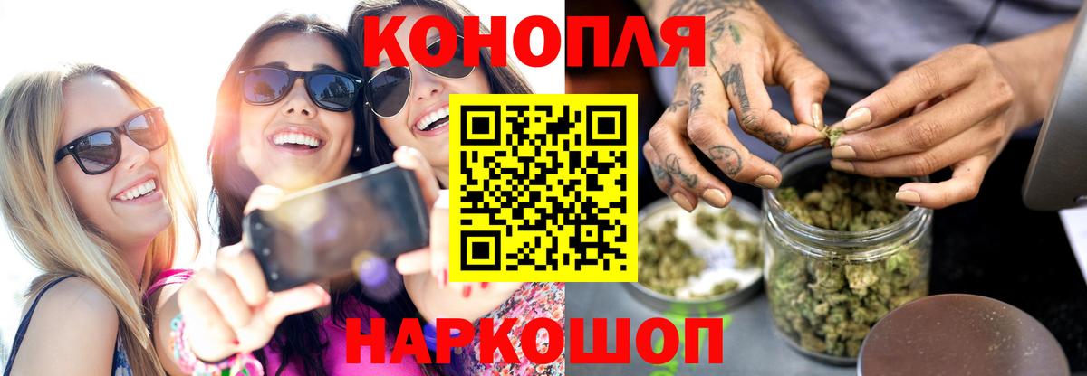 Канабис план Сальск